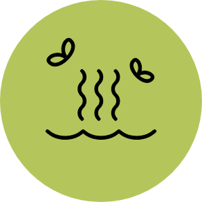 Foul-smelling well water icon. Our water treatment services eliminate odors for clean, fresh water Lehigh Acres, FL.